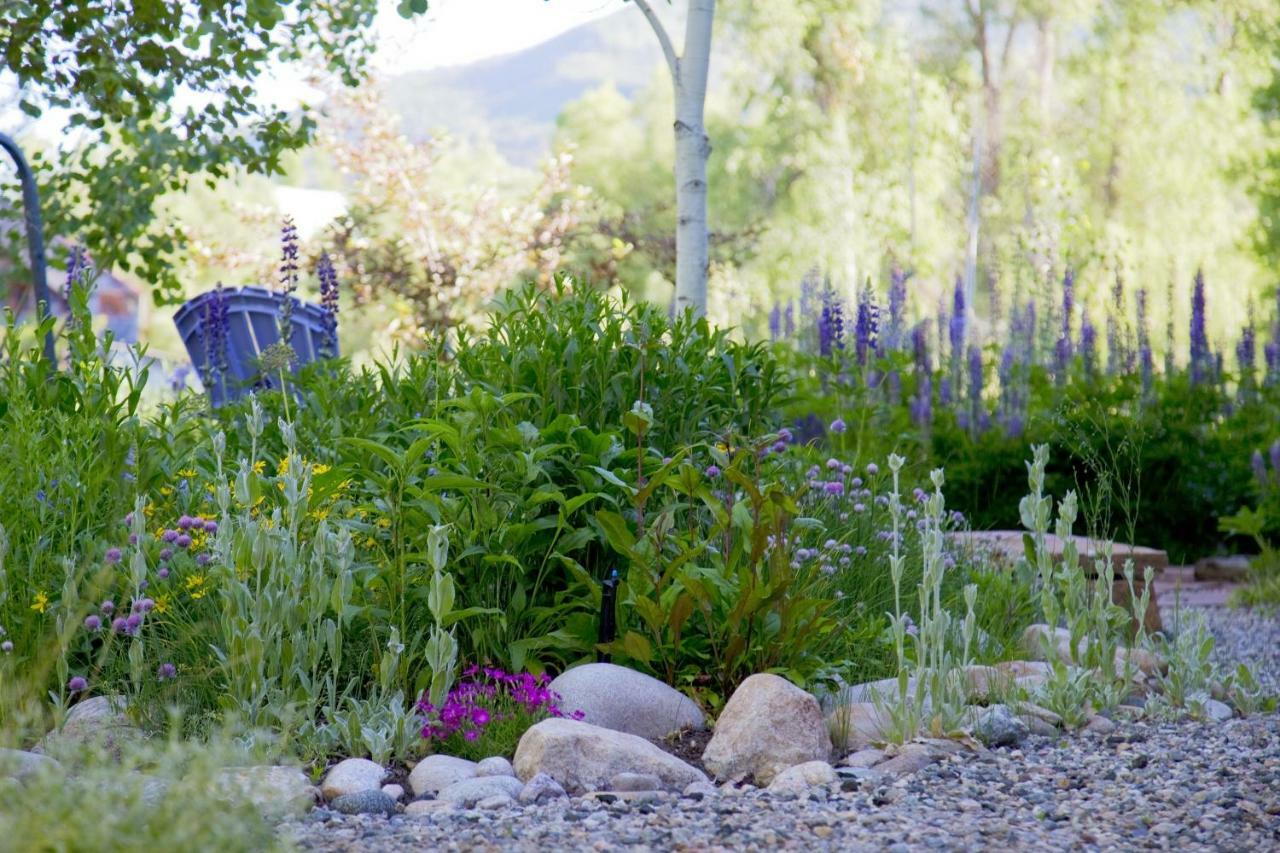 Mariposa Lodge Bed And Breakfast Steamboat Springs Exterior foto